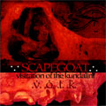 Download Now!